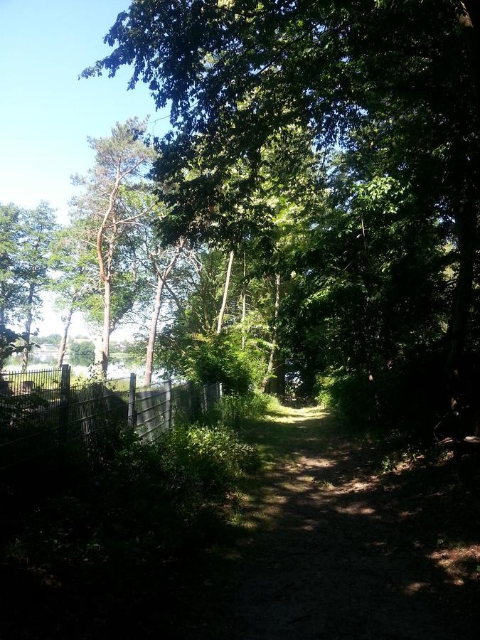 נוירופין Holzhaus Waldwichtel Am Wald Und See מראה חיצוני תמונה